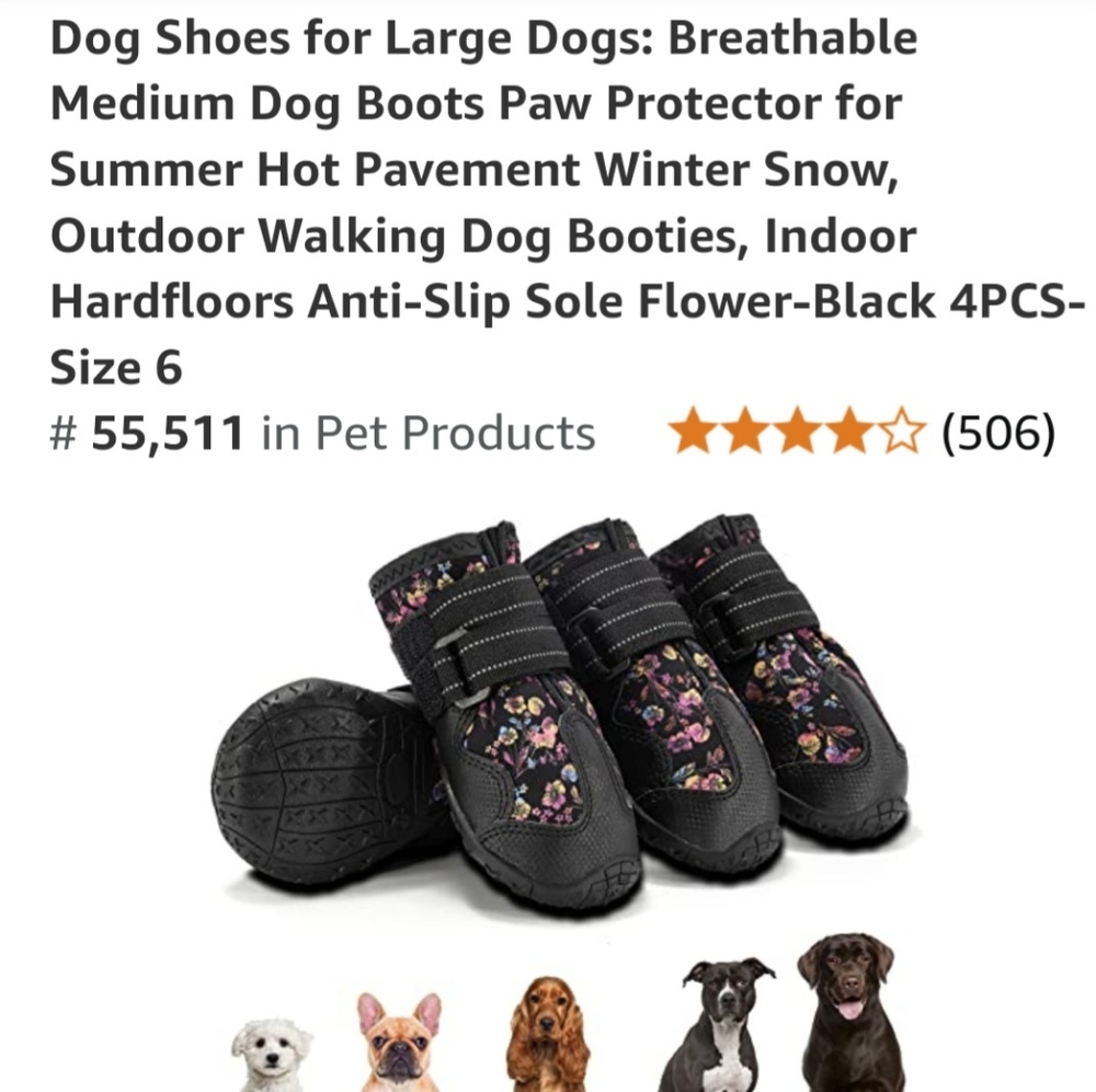 Dog shoes